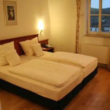 Altstadt-hotel